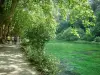 Fontaine-de-Vaucluse - The River Sorgue, the trees and the shaded path (bank)