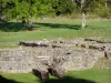 Fontaines Salées archeological site - Gallo-Roman ruins