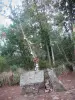 Forêt de Paimpont - Tombeau de Merlin