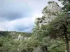 Formazioni rocciose di Montpellier-le-Vieux - Rocce dolomitiche e gli alberi con un cielo tempestoso