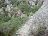 Formazioni rocciose di Montpellier-le-Vieux - Vista del caos roccioso ruiniform
