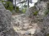 Formazioni rocciose di Montpellier-le-Vieux - Percorso di Rocky