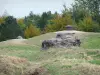 Forte de Douaumont - Torres de forte