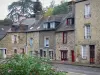 Fougères - Stenen huizen van de middeleeuwse stad met een bloeiende struik op de voorgrond