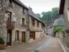 Fougères - Street lined with houses