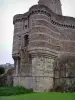 Fougères - Enceinte fortifiée (remparts) du château et arbustes en premier plan