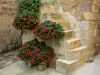 Fourcès - Pequeña escalera decorada con flores rojas