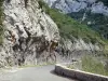 Galamus gorges - Gorges road and cliffs; in the Fenouillèdes