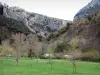 Galamus gorges - Cliffs overlooking a meadow dotted with trees