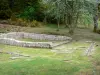 Gallo-Roman remains of Les Cars