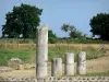 Gallo-Roman town of Jublains - Archaeological site: columns of the Gallo-Roman temple