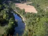 Gargantas del Aveyron - Vista del río Aveyron, arbolado