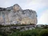Gargantas del Aveyron - La piedra caliza roca (roca) con vistas a la vegetación