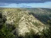 Gargantas del Chassezac - Vista de los acantilados (paredes rocosas) gargantas de granito de la Chassezac observación, en el Parque Nacional de Cévennes