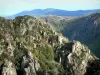 Gargantas del Chassezac - Vista de las gargantas de granito, en el Parque Nacional de Cévennes