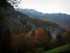 Gargantas del pont du Diable - Cliff y bosque en otoño