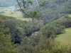 Gargantas del Sioule - Sioule río rodeado de árboles y prados