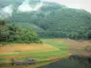 Gargantas del Truyère - Presa del lago Sarrans y sus orillas arboladas