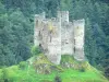 Gargantas del Truyère - Castillo medieval Alleuze posado en su promontorio rocoso, en un verde