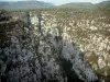 Gargantas del Verdon - Acantilados de piedra caliza (paredes rocosas), matorrales y árboles (Parque Natural Regional de Verdon)