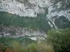 Gargantas del Verdon - Parque Natural Regional de Verdon: vista de la vegetación, árboles, paredes de roca y la confluencia (Mescla) Verdon y Artuby (ríos)