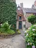 Gargilesse-Dampierre - Blooming hydrangeas, street and houses of the village