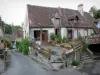 Gargilesse-Dampierre - Flower-decked houses (flowers) and village lane