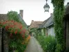 Gerberoy - Narrow paved street lined with flower-bedecked houses (flowers, rosebushes and plants)