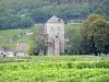 Gevrey-Chambertin castle - Medieval castle surrounded by vineyards, in the heart of the Côte de Nuits vineyards