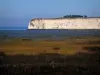 Gironde estuary