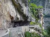 Gorges de la Bourne - Parc Naturel Régional du Vercors : route à encorbellement et falaises (parois rocheuses) au-dessus de la Bourne