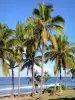 Grande Anse beach - Yoga practice under the coconut trees, along the Indian Ocean