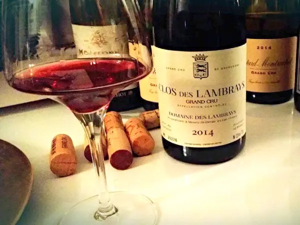 Los grandes vinos de Borgoña - Guía Gastronomía y Vacaciones