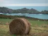 Grouin headland - Haystack, grassland, moor, cliffs and sea