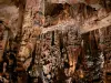 Gruta de las Doncellas - Concreciones de la gran sala: columnas, estalactitas