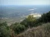 Guidon du Bouquet - Desde Guidon du Bouquet (punto más alto del Monte Bouquet), en vista de la vegetación y árboles en primer plano, el Gard monte bajo y el paisaje circundante