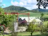 Hacienda Clément - Ver Clement bodegas y plantas de envejecimiento del ron en el campo de la Caoba
