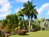 Hacienda Clément - Vista de la palma de la mano del nuevo parque