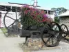 Hacienda Clément - Maquinaria de jardín y antigua destilería