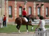 Haras Nacional de Le Pin - Jinete a caballo el jueves en el Pine (espectáculo de caballos) en la ciudad de Le Pin-au-Haras