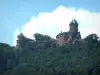 Haut-Koenigsbourg castle - Fortress surrounded by trees