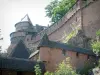 Haut-Koenigsbourg castle - Fortress and a tree