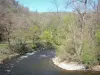 Haute-Loire landscapes - Alagnon valley: Alagnon river and trees along the water