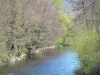 Haute-Loire landscapes - Alagnon gorges: Alagnon river lined with trees