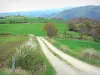 Haute-Loire landscapes - Path lined with meadows