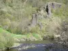 Haute-Loire landscapes - Allier gorges: rock walls overlooking the Allier river and trees along the water