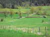 Haute-Loire landscapes - Succession of meadows dotted with trees