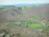 Haute-Loire landscapes - Wooded and green landscape