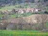 Haute-Loire landscapes - Flowering meadow in the foreground, with a view of a hamlet surrounded by fields and pastures, on the edge of the forest