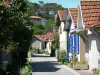 L'Herbe - Lane e fiori baracche di ostriche borgo nel comune di Lege - Cap- Ferret